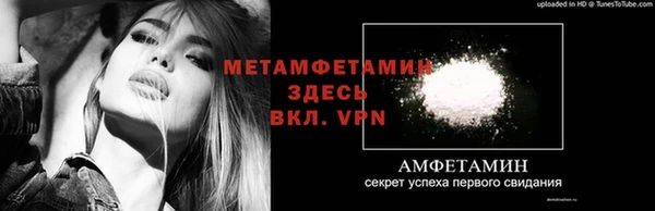 прущие грибы Михайловка