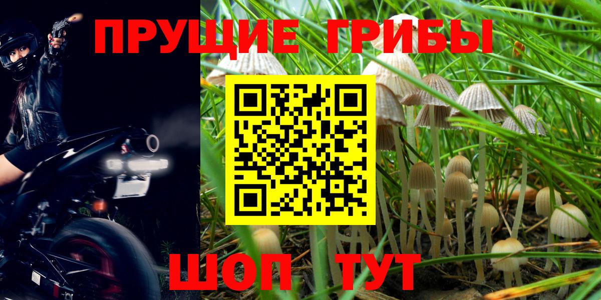 Псилоцибиновые грибы мухоморы  Киров 