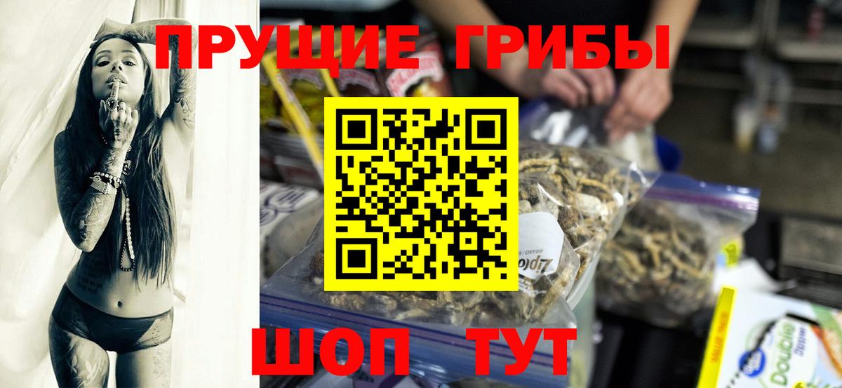Галлюциногенные грибы Psilocybe Киров