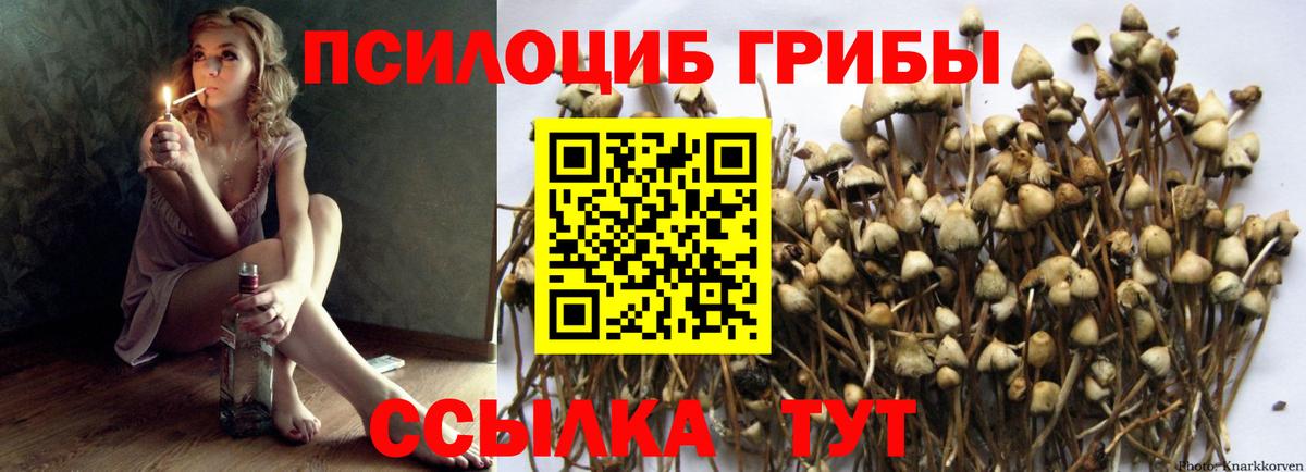 Галлюциногенные грибы ЛСД  Псилоцибиновые грибы GOLDEN TEACHER  Вход с VPN  Киров 