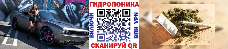 Конопля Amnesia наркота Киров